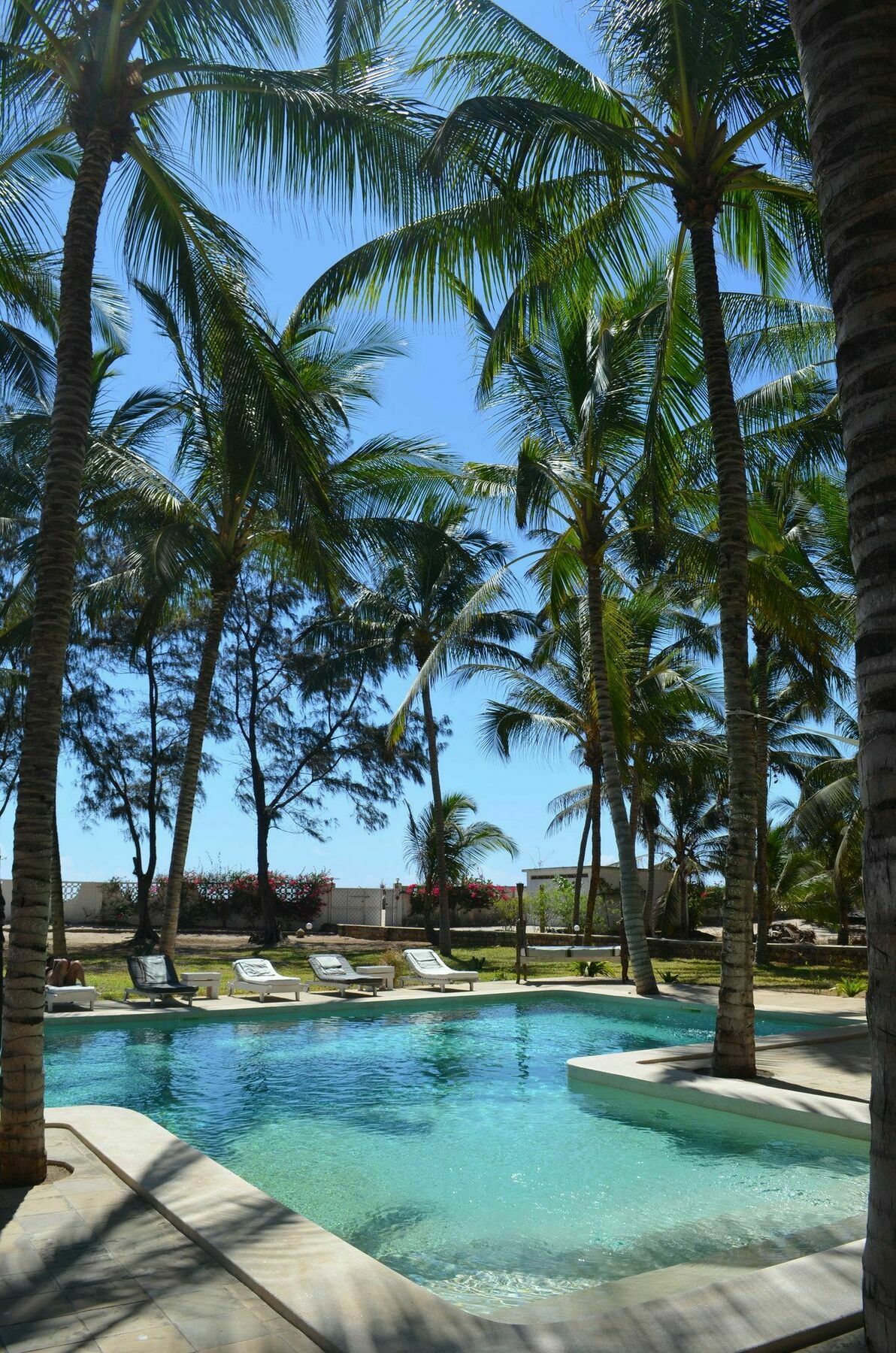 Villa Cesy Boutique Hotel Malindi Exterior photo